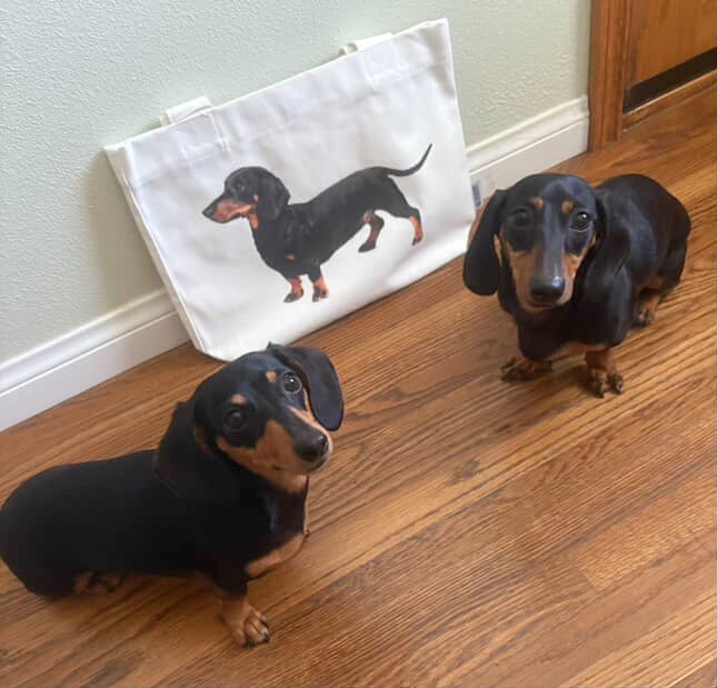 Dachshund Tote Bag