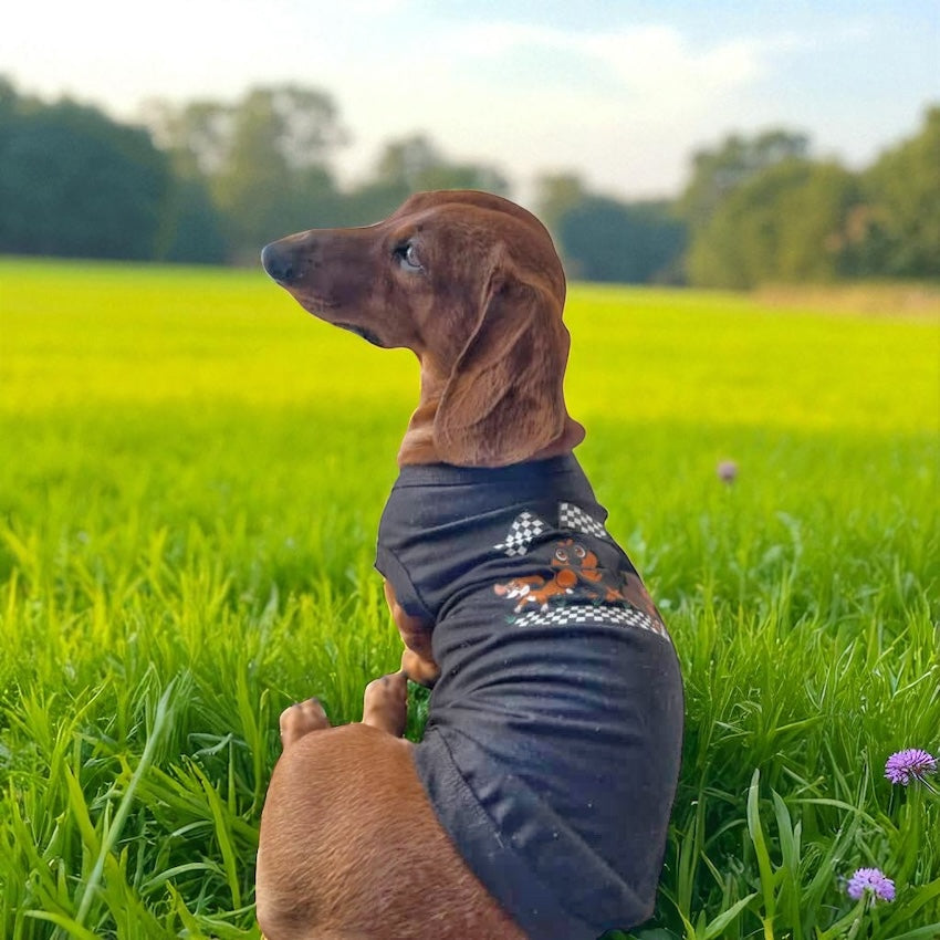 Dachshund Race Dog Tee