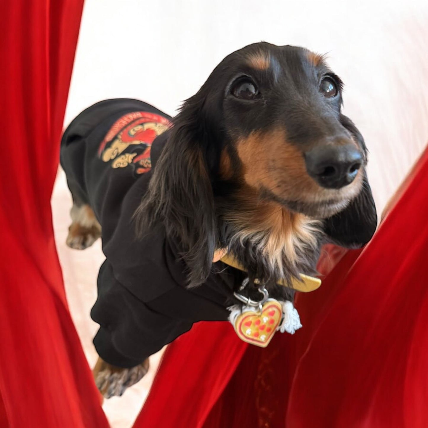 Year of the Dachshund Dog Hoodie