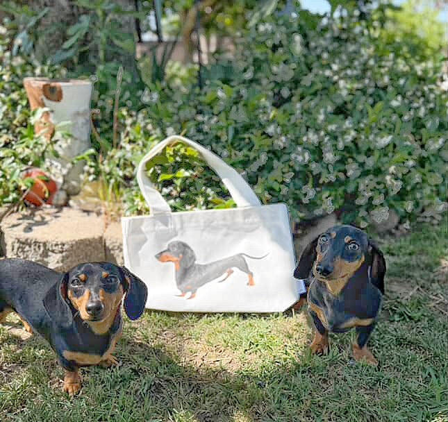 Dachshund Tote Bag