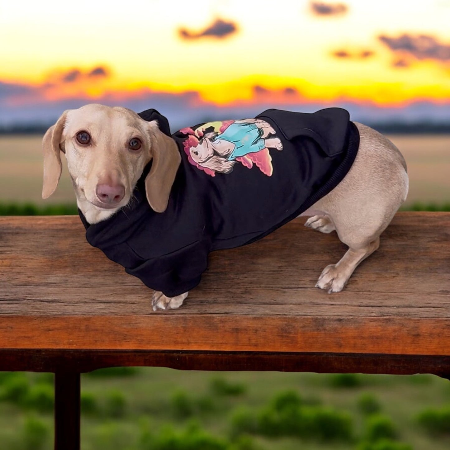 Sunset Dachshund Dog Hoodie
