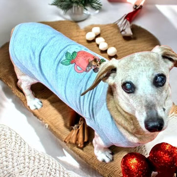 Hot Chocolate Dachshund Dog Tee