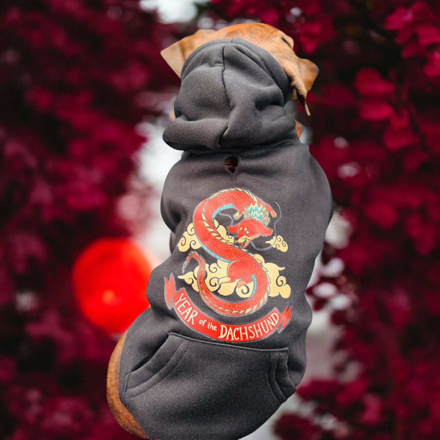 Year of the Dachshund Dog Hoodie