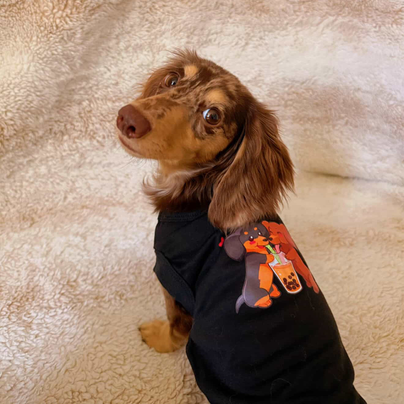 Boba Dachshund Dog Tee