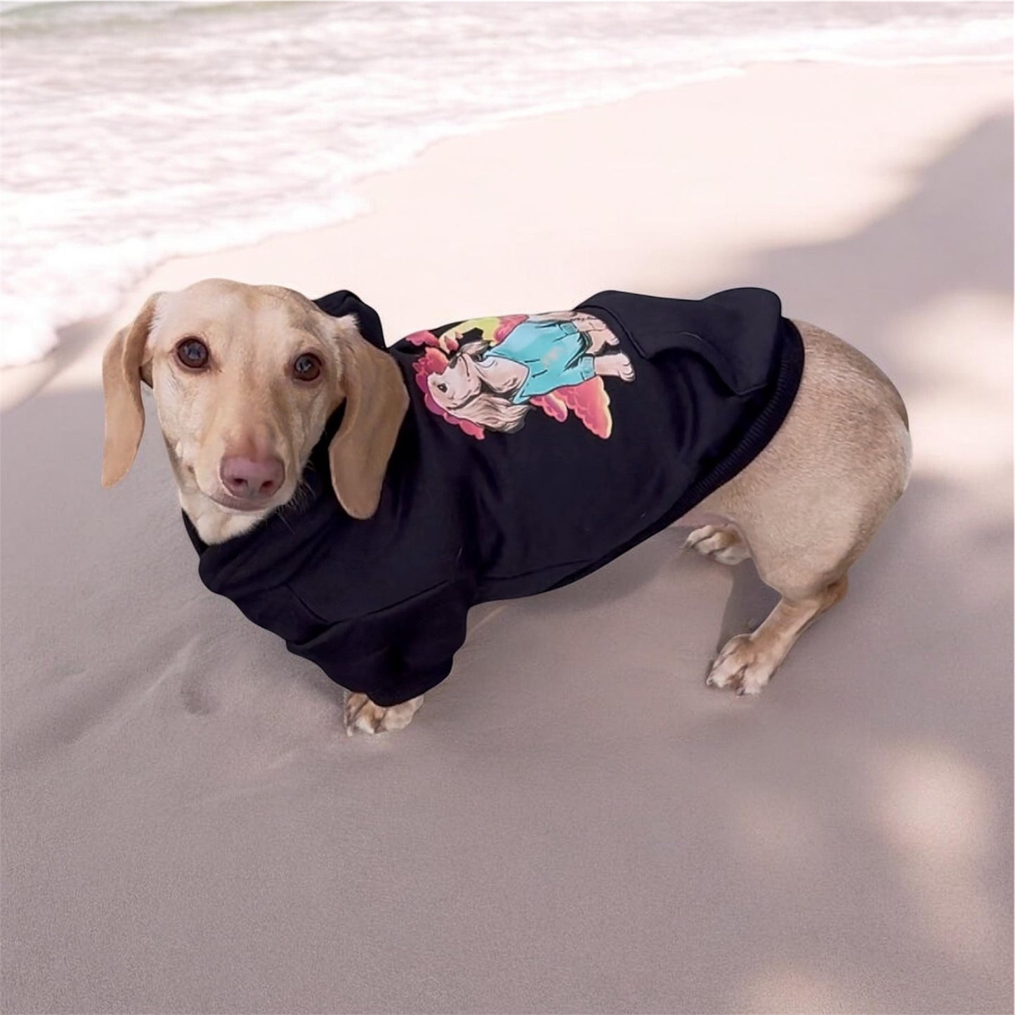 Sunset Dachshund Dog Hoodie